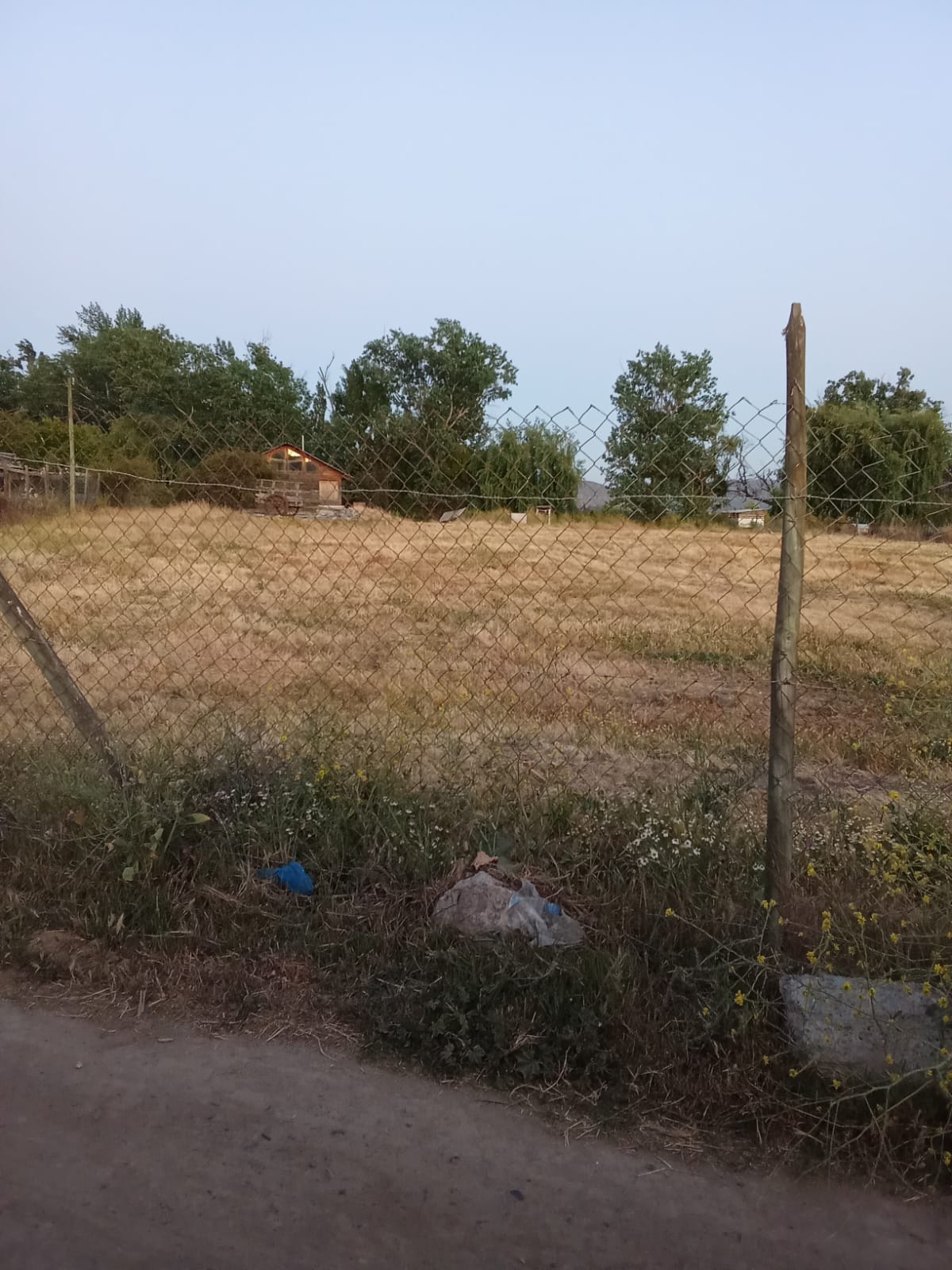 Vista adicional de la parcela
